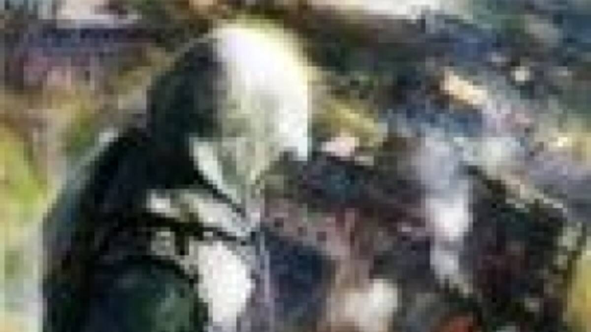 El título para móvil no tendrá relación con Assassin?s Creed III