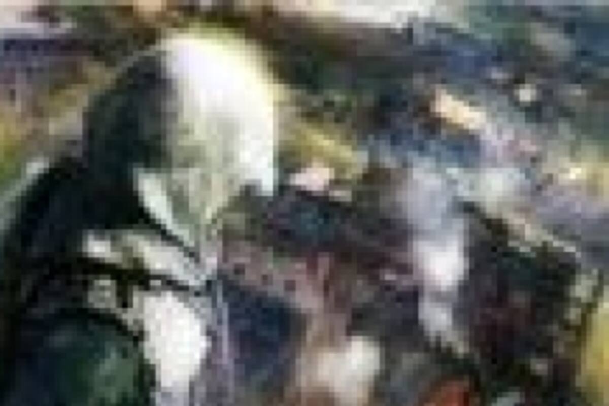 Assassin?s Creed: Utopia introducirá nuevo protagonista