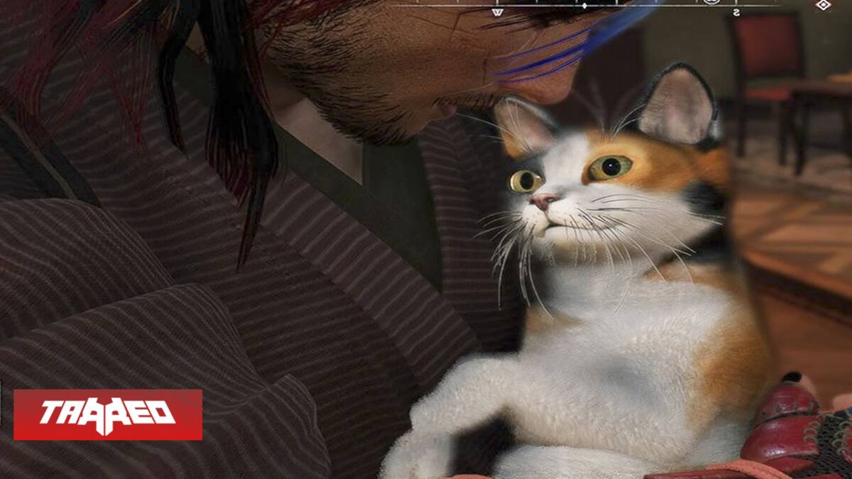 Encontrar a todos los gatos tiene una recompensa adicional