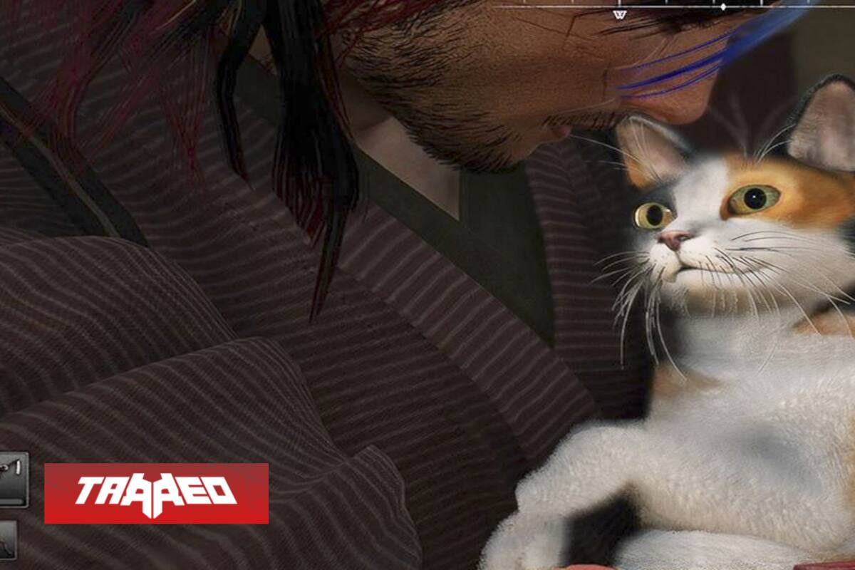 Un 16% de los jugadores de Rise of the Ronin han recolectado los 100 gatitos disponibles en el juego, y la mayoría lo hizo para enamorar a un personaje