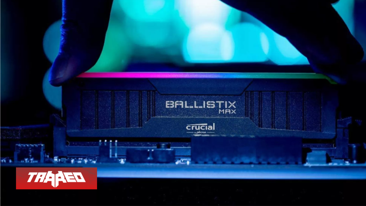 Enfocarán sus esfuerzos en DDR5 para sus clientes y servidores