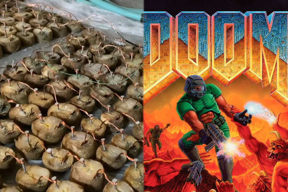 Fan logra correr DOOM gracias al poder de cientos de papas
