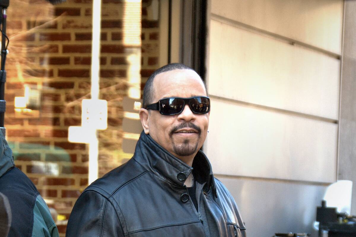 Ice-T podría prestar su voz a un personaje de Borderlands 3
