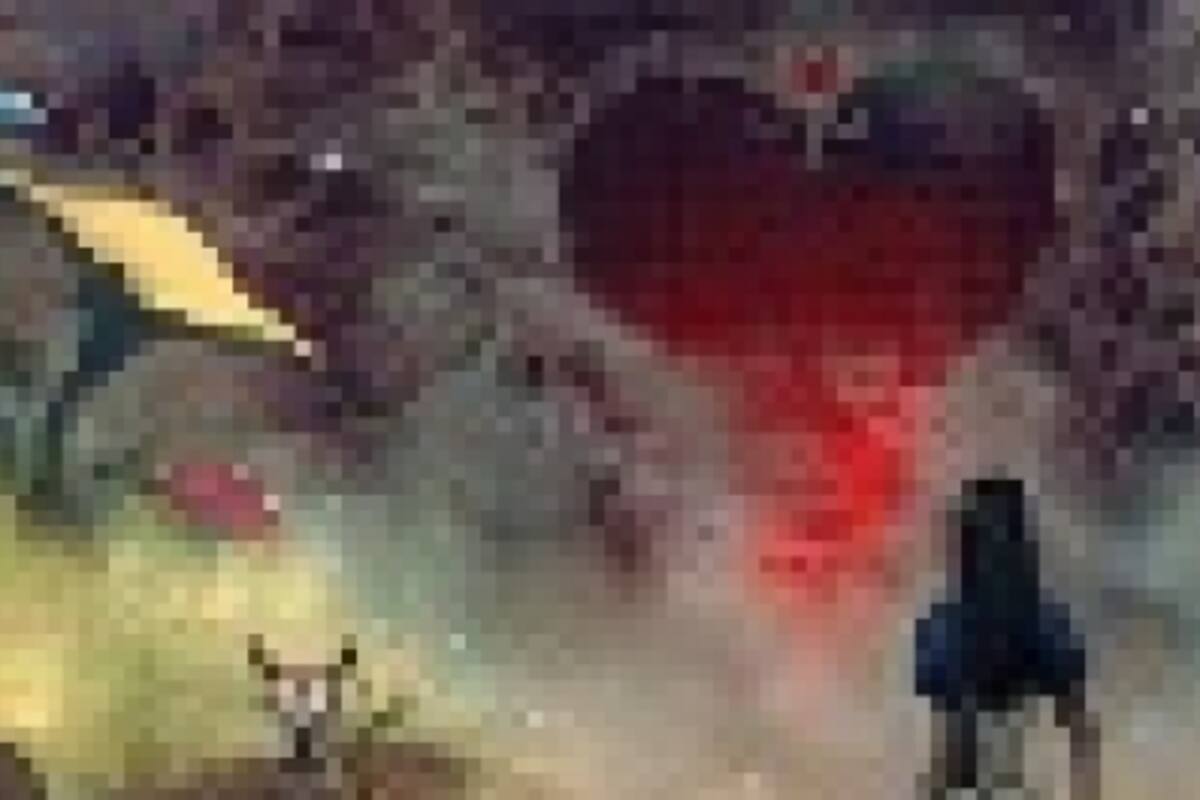 EA: el Alice original vendrá con Madness Returns