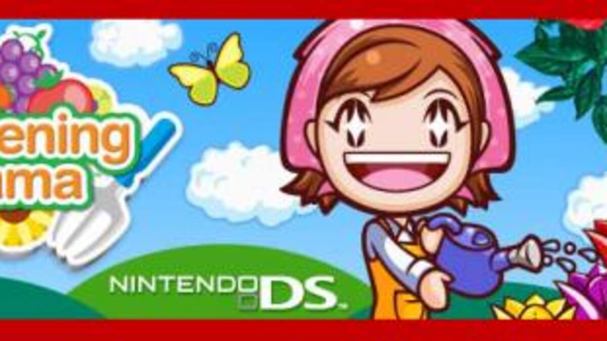 Este intenso título llegará al DS muy pronto