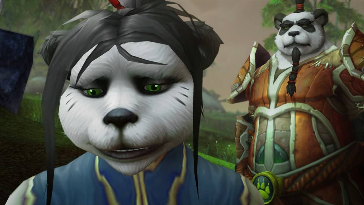 Fans de WoW y más juegos están decepcionados por lo ocurrido entre Blizzard y NetEase