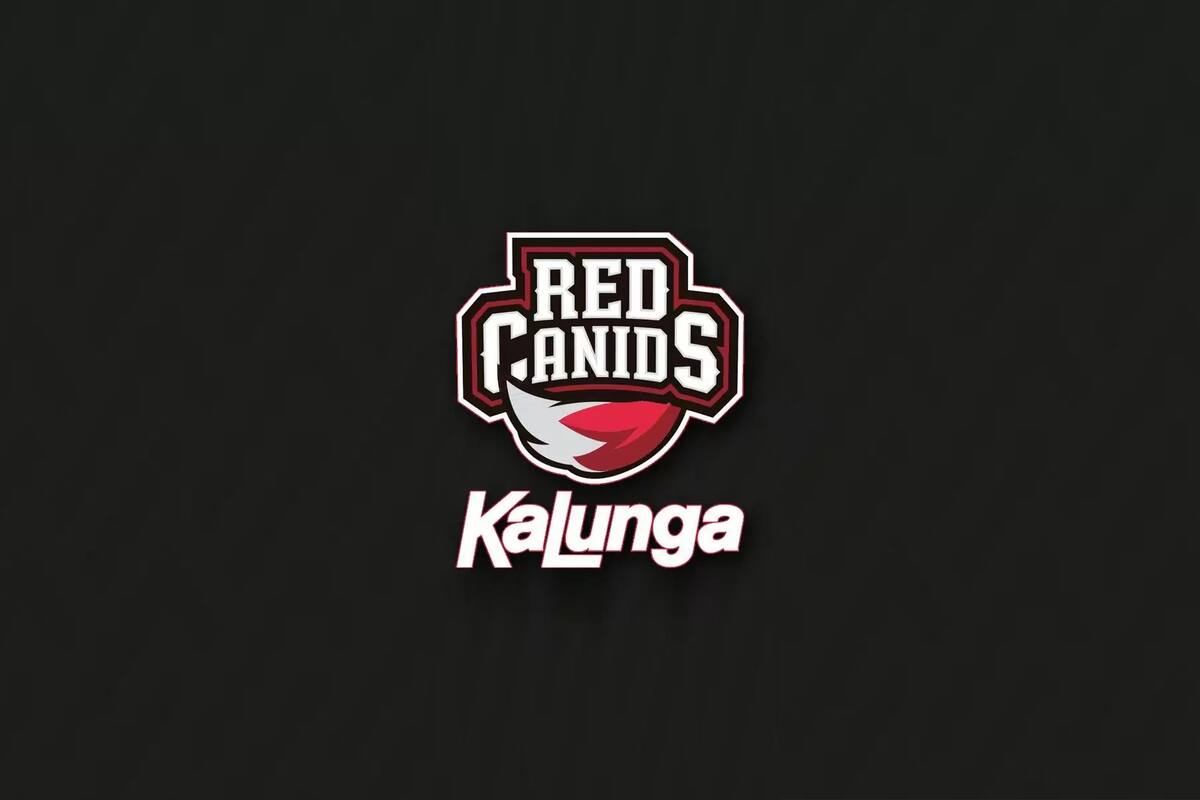 Dueño y CEO de RED Canids es sancionado por conducta antideportiva