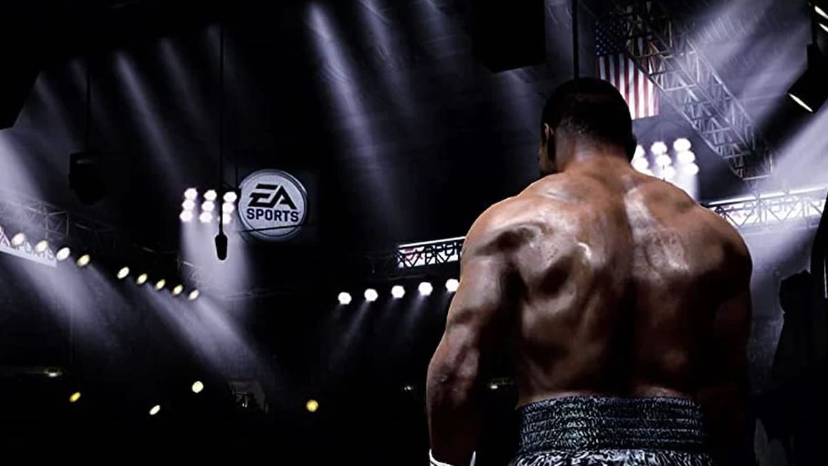 Fight Night