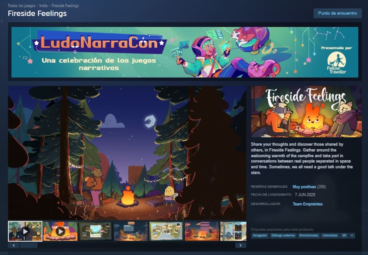 Fireside Feelings steam