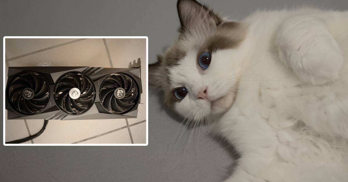 Gato-detecta-falla-GPU-MSI-RTX-4090.jpg