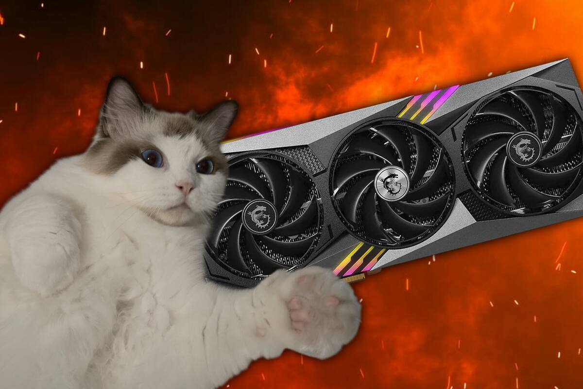 Gato salva a su dueño y evita un posible incendio tras detectar la falla de una GPU RTX 4090 que se estaba derritiendo