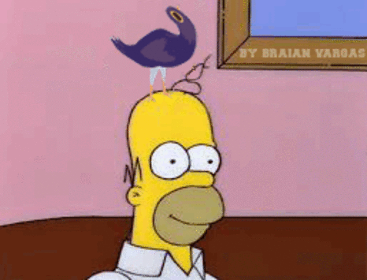 giphy.gif