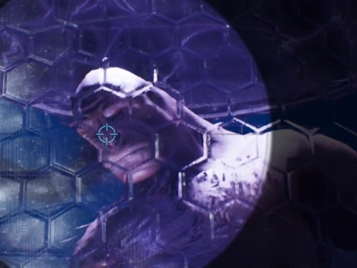 Halo Craig