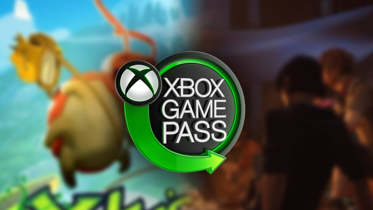 Hay novedades para quienes usan el servicio en consolas y PC
