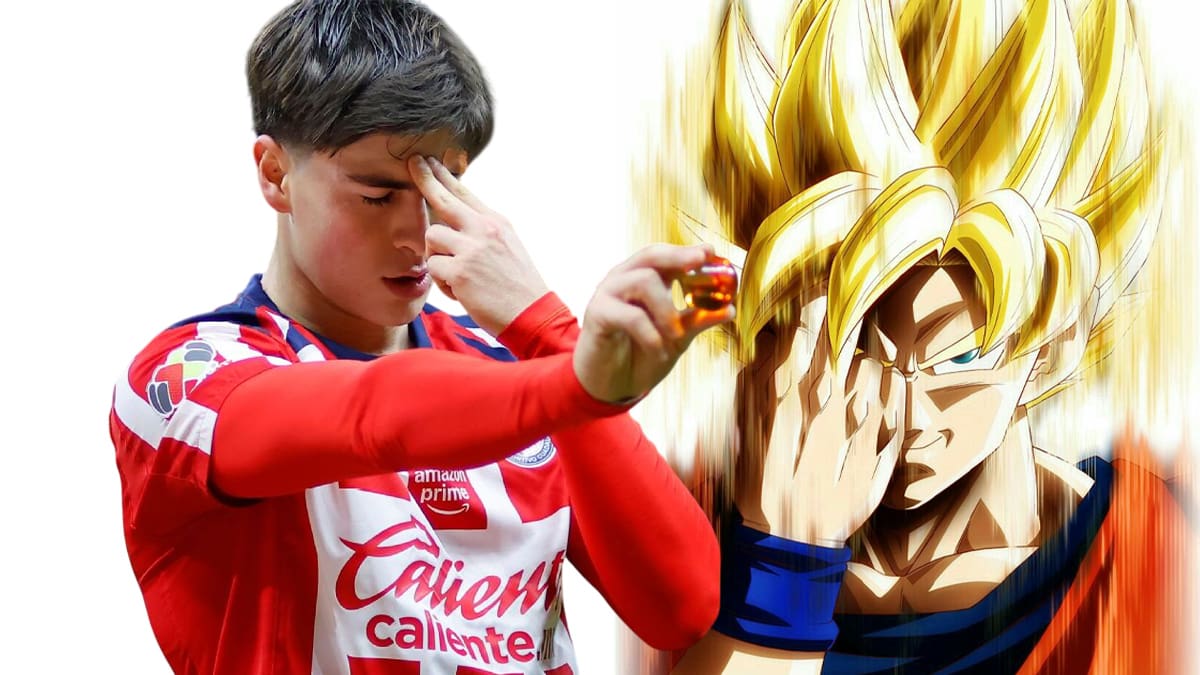 Hormiga González fan anime