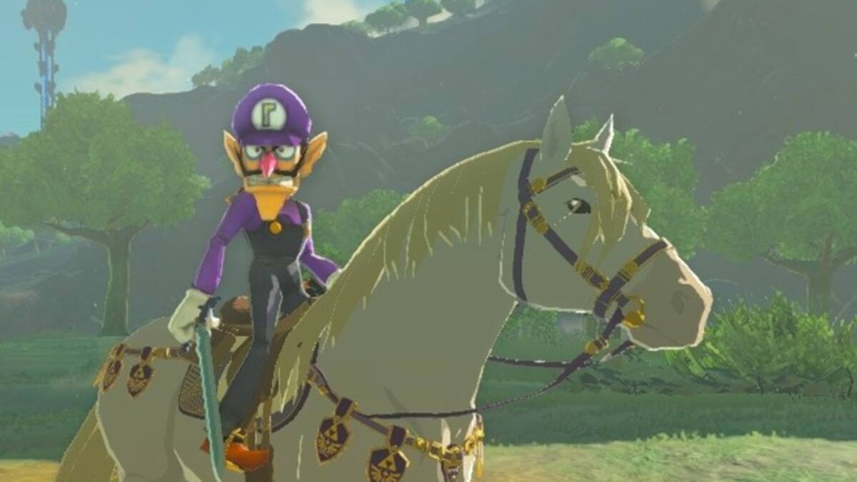Hyrule tiene un nuevo héroe