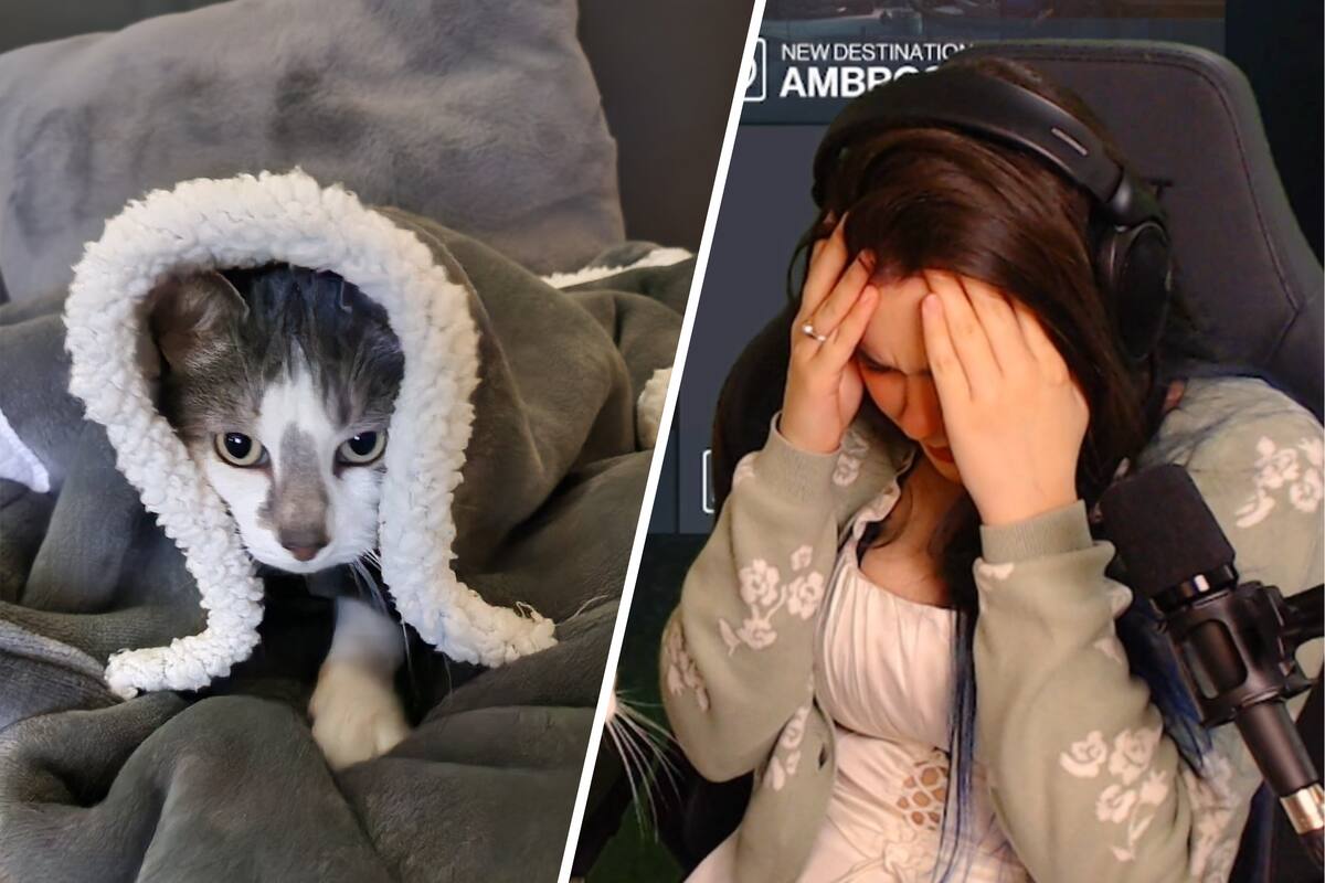 Twitch streamer loses all her HITMAN 3 playthrough progress due to her cat