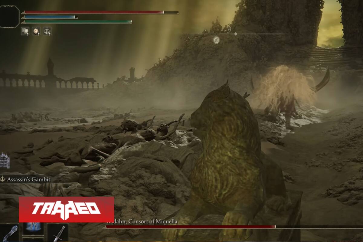 Jugador de Elden Ring descubre cómo derrotar al jefe final de Shadow of the Erdtree sin pelear, solo deja que él se aburra y se va