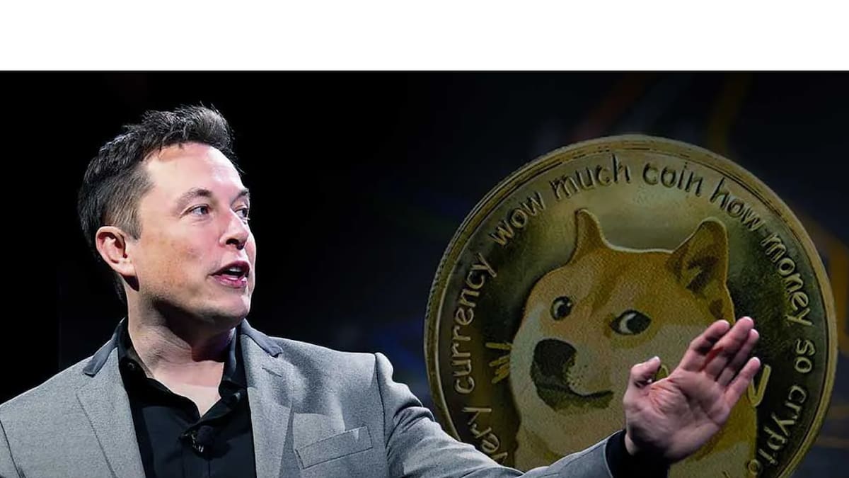 Inversionista culpa al magnate del ascenso y la caída de la criptomoneda