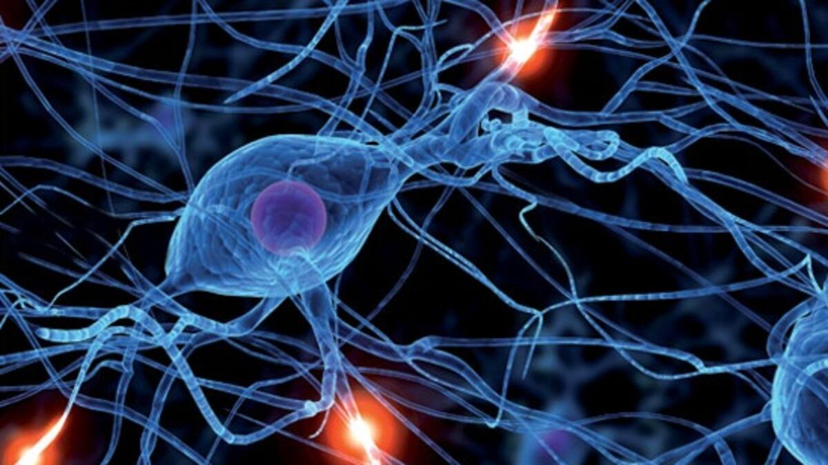 Investigación busca dilucidar efectos cognoscitivos