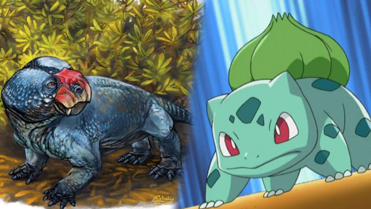Investigadores aseguran que no tiene relación con Pokémon pero agradecen la atención