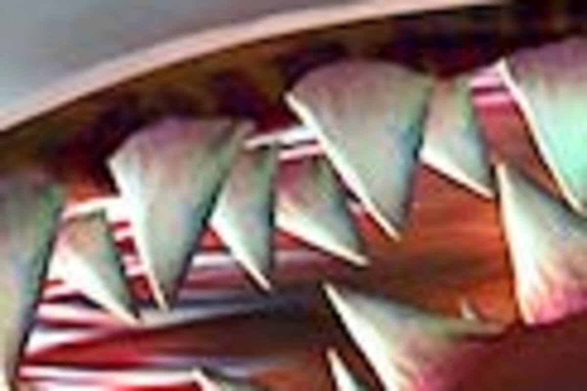 Jaws Unleashed