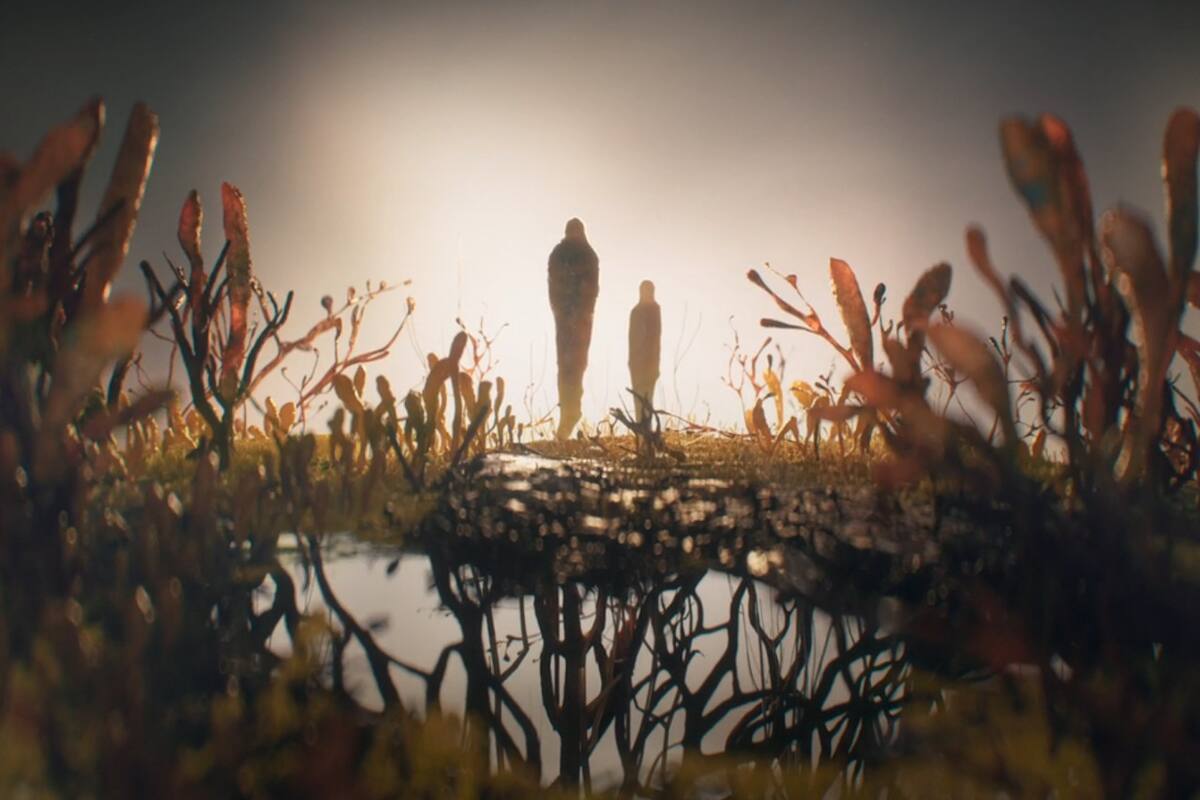 Serie de The Last of Us por fin revela como comenzó la pandemia del Cordyceps
