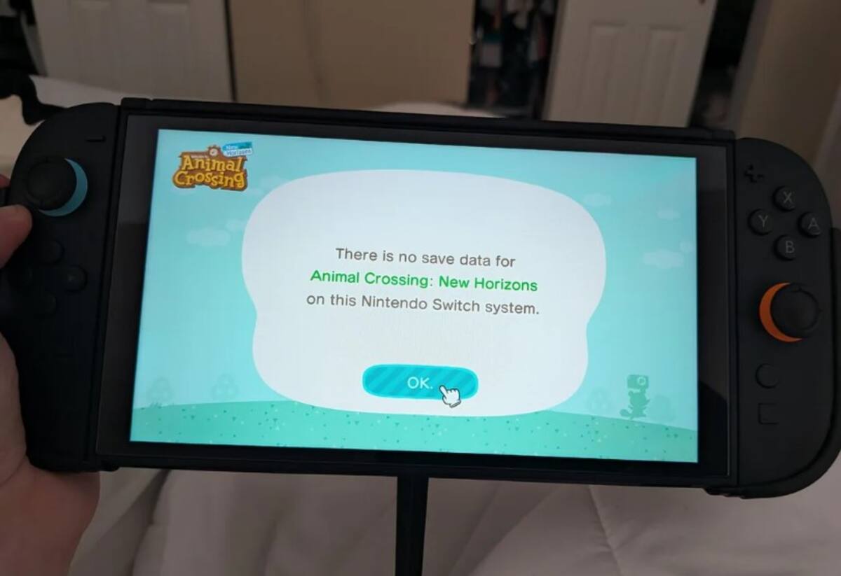 Jugador-pierde-partida-de-Animal-Crossing.jpg