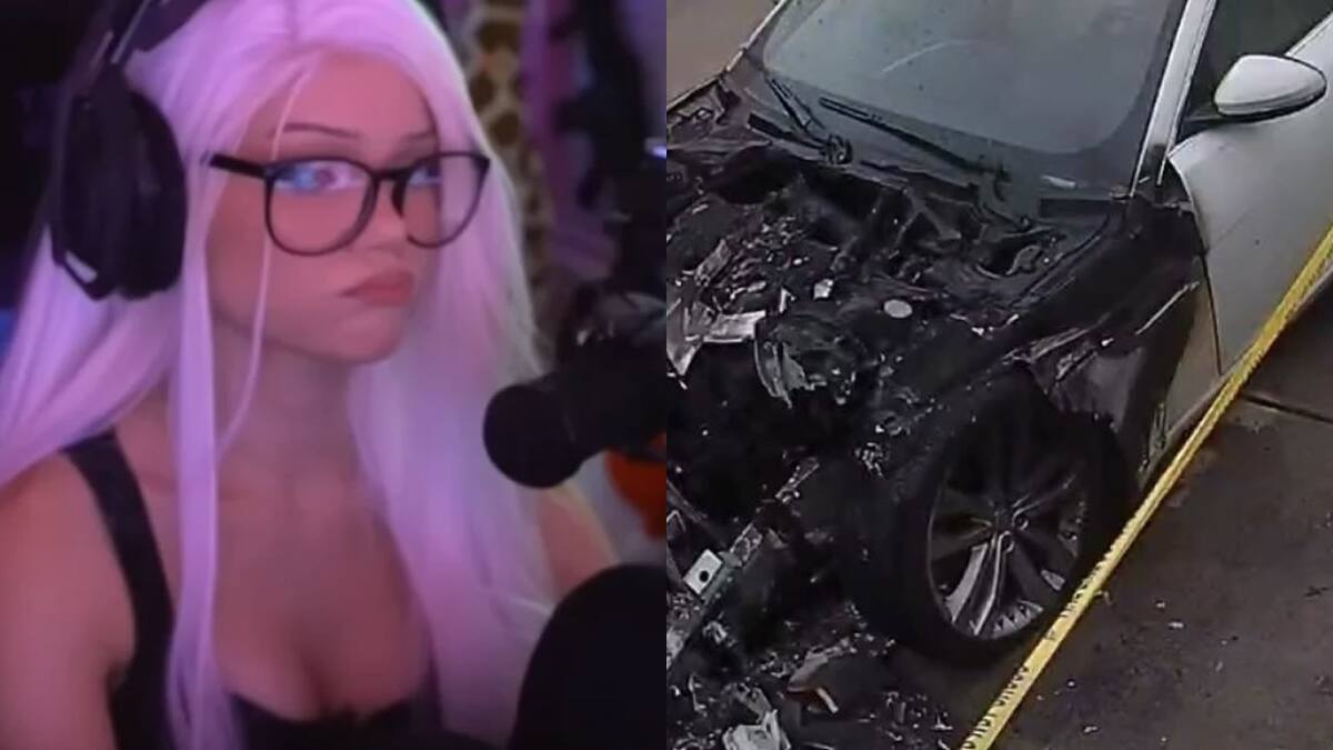 "justfoxii" asegura que el sujeto viajó más de 1000 kilómetros para el ataque