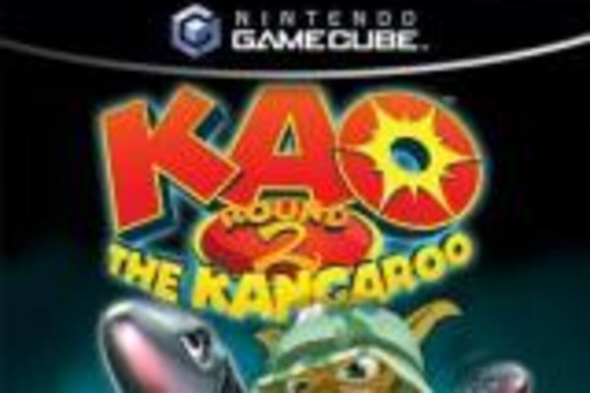 Kao the Kangaroo Round 2