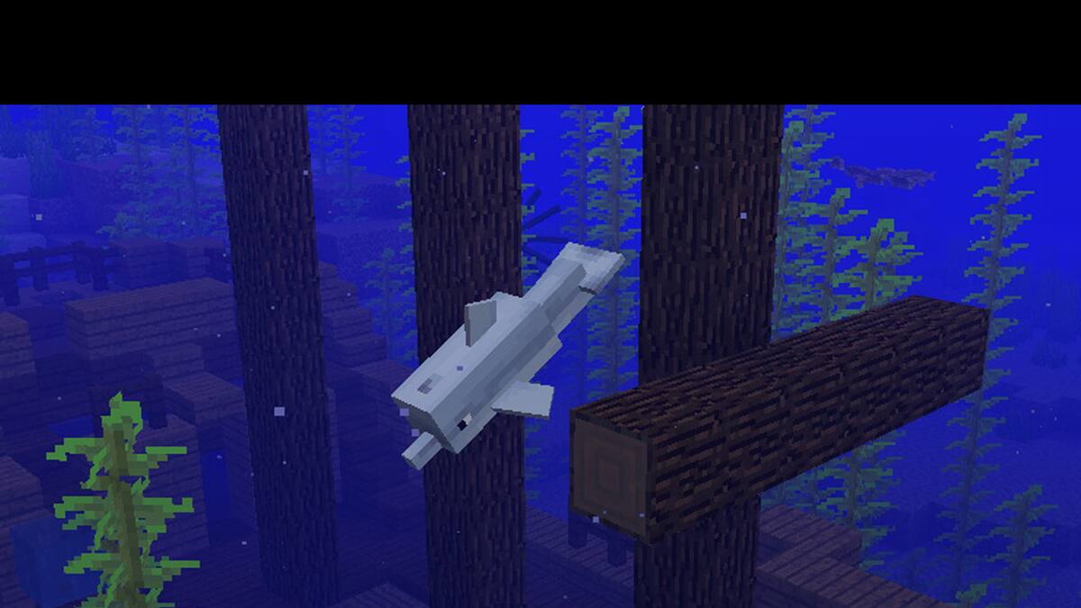 La actualización Aquatic será la última para plataformas de generación pasada