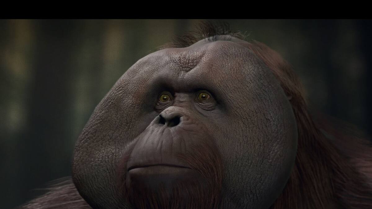 La aventura cinemática está disponible en la PlayStation Store