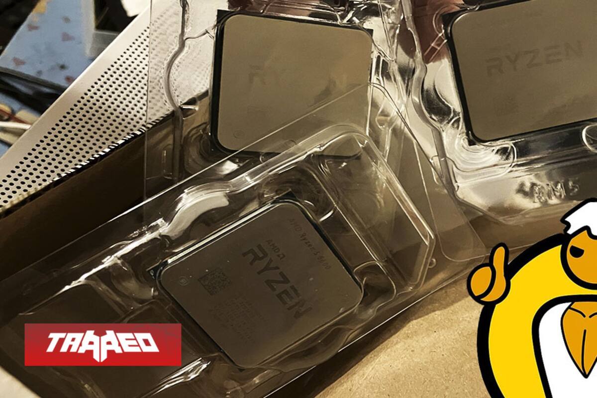 Compra 4 CPU Ryzen 5600 dañadas por $70 dólares, pero 3 de ellas funcionan y le dicen: “devuélvelas, no es lo que pediste”