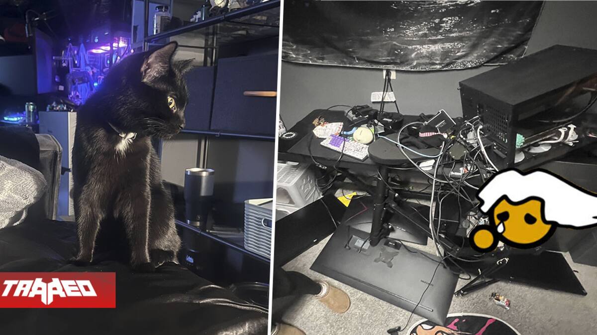 La comunidad pensaba que había sido una novia o padre enfadado, pero fue el gato