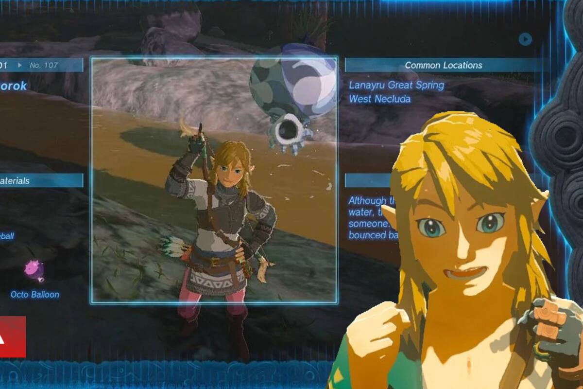 Jugador de The Legend of Zelda: Tears of the Kingdom está reemplazando todas las entradas de la enciclopedia con selfies de Link: “Definitivamente lo recomiendo”