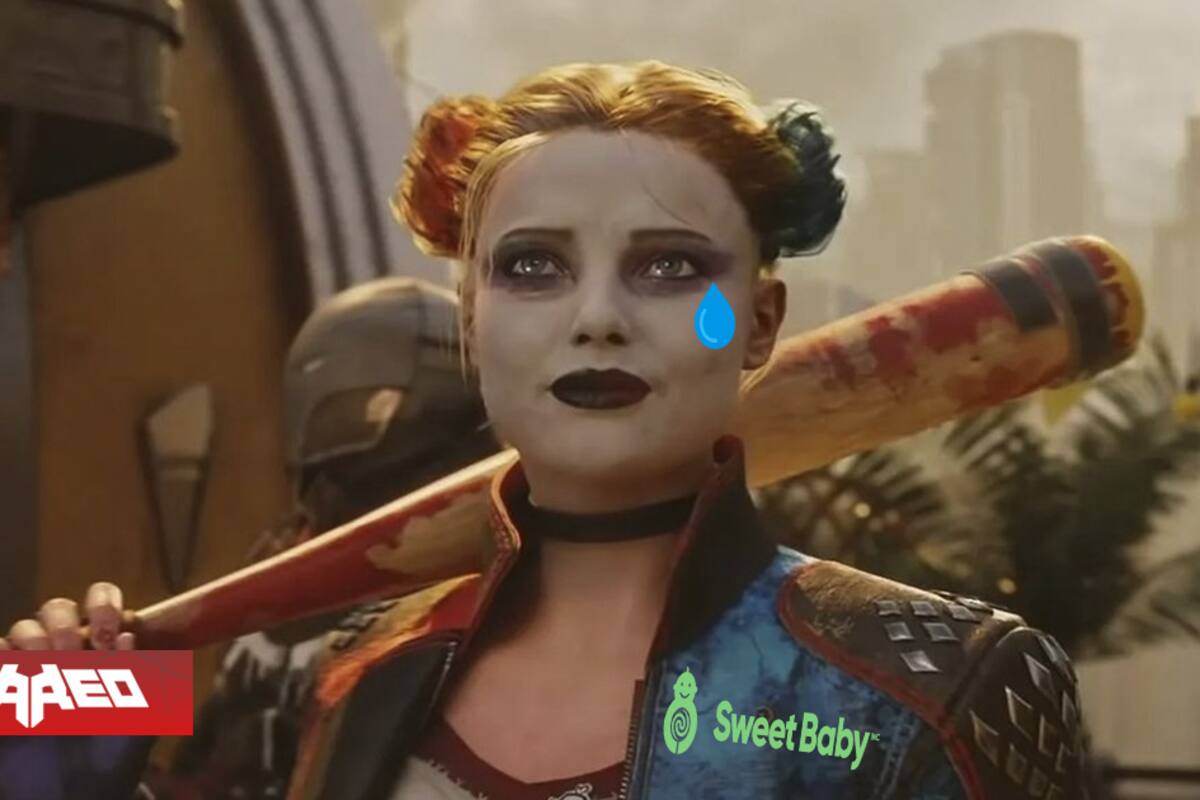 Uno de los consultores de videojuegos más grandes del mundo habría terminado su asociación con Sweet Baby Inc., borrando todo rastro de ellos en su WEB