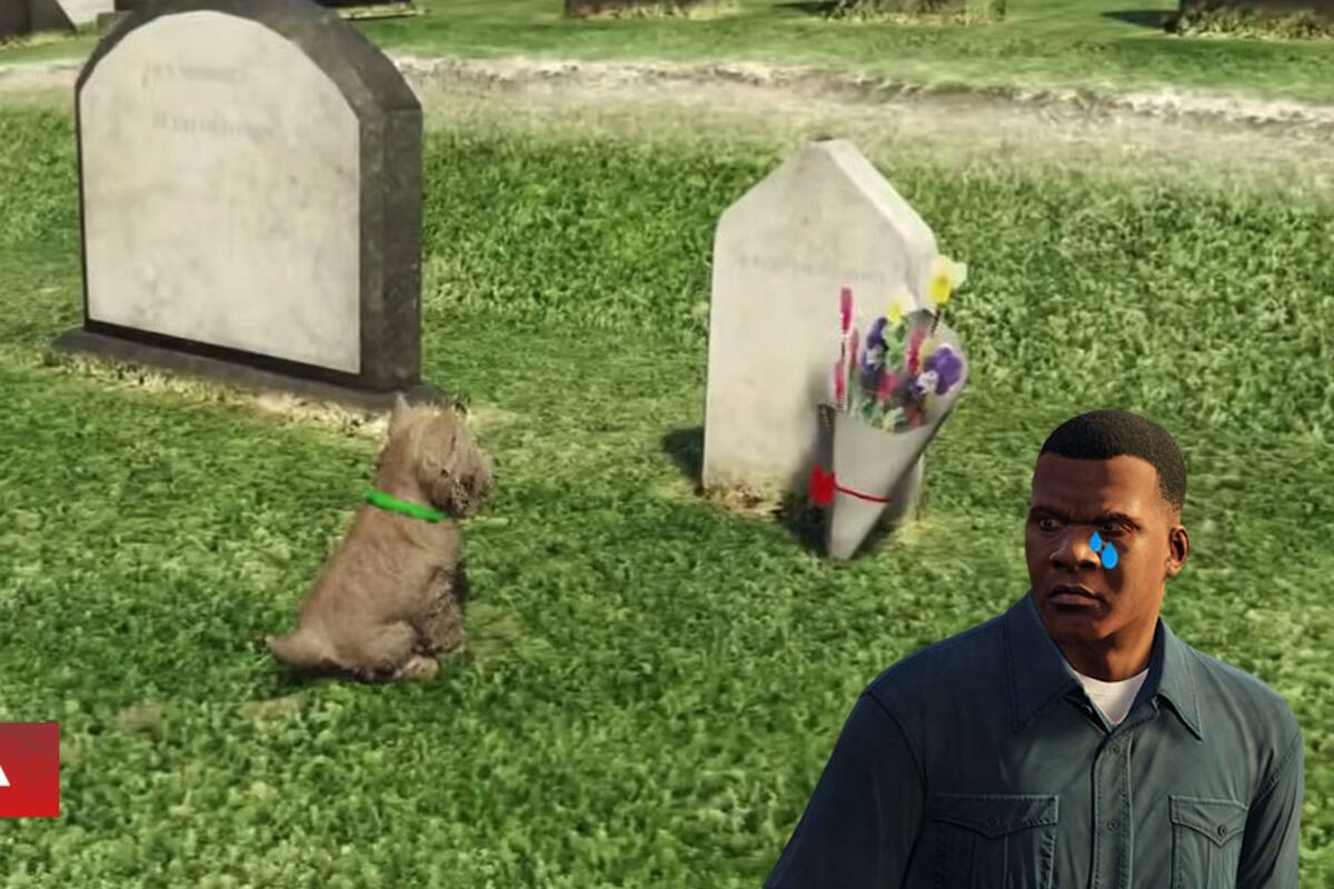 La historia del perro que visita la tumba de su dueño todos los días en GTA V está basada en un hecho real
