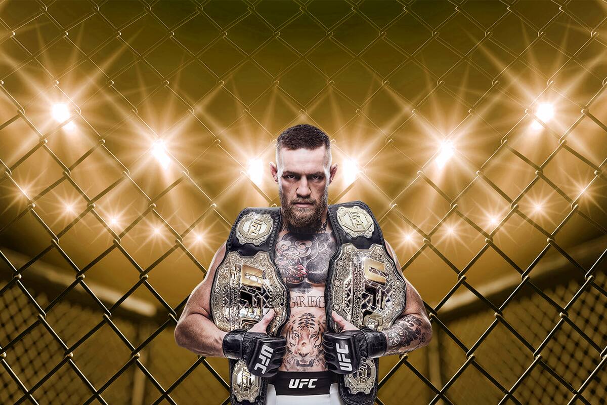 EA Sports UFC 3