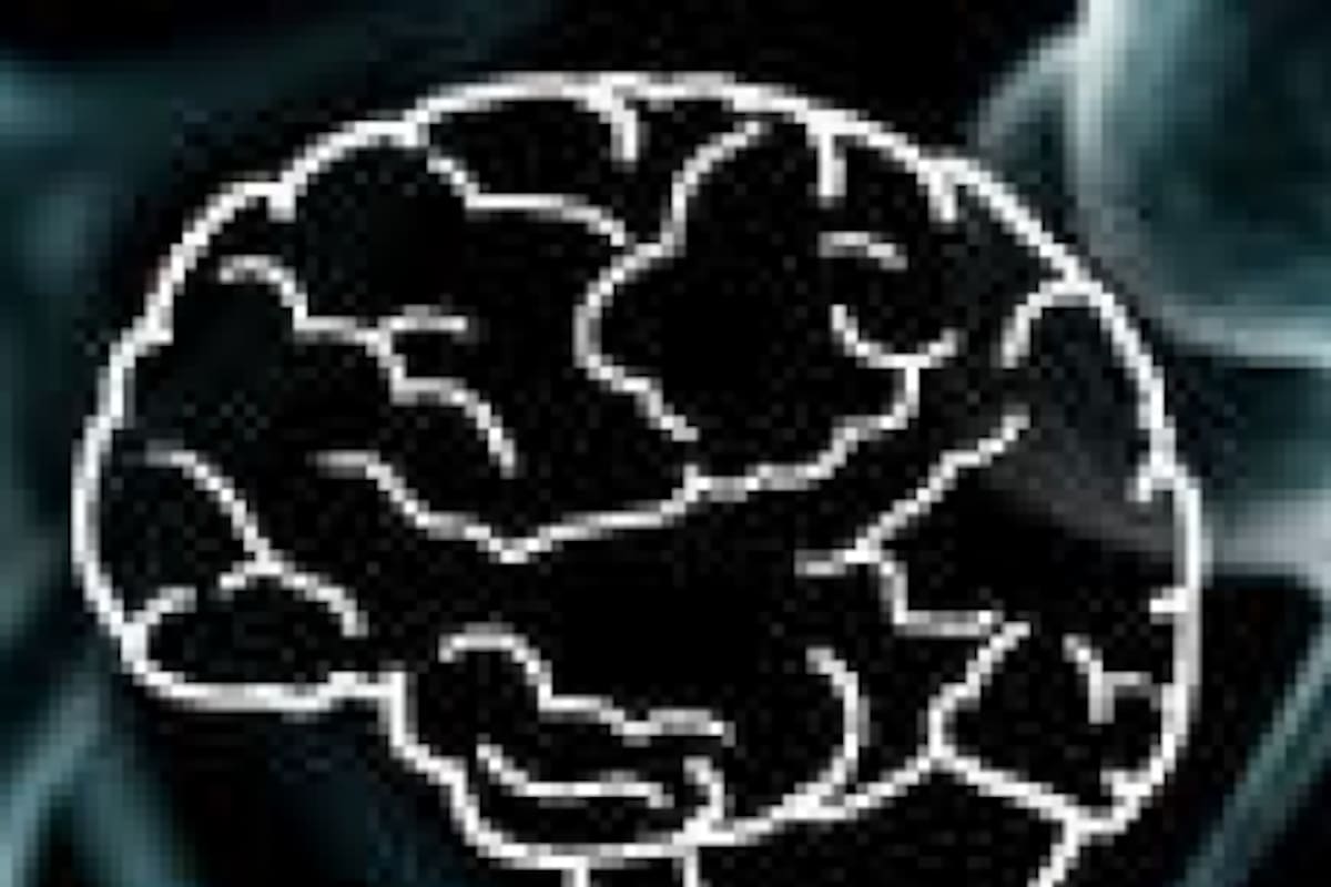El cerebro gamer