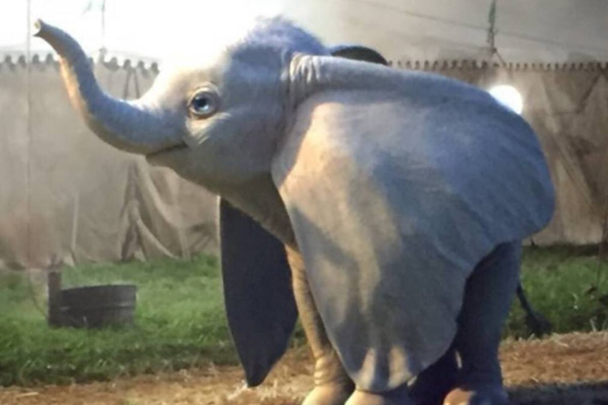 Nuevo trailer del Live-action de Dumbo