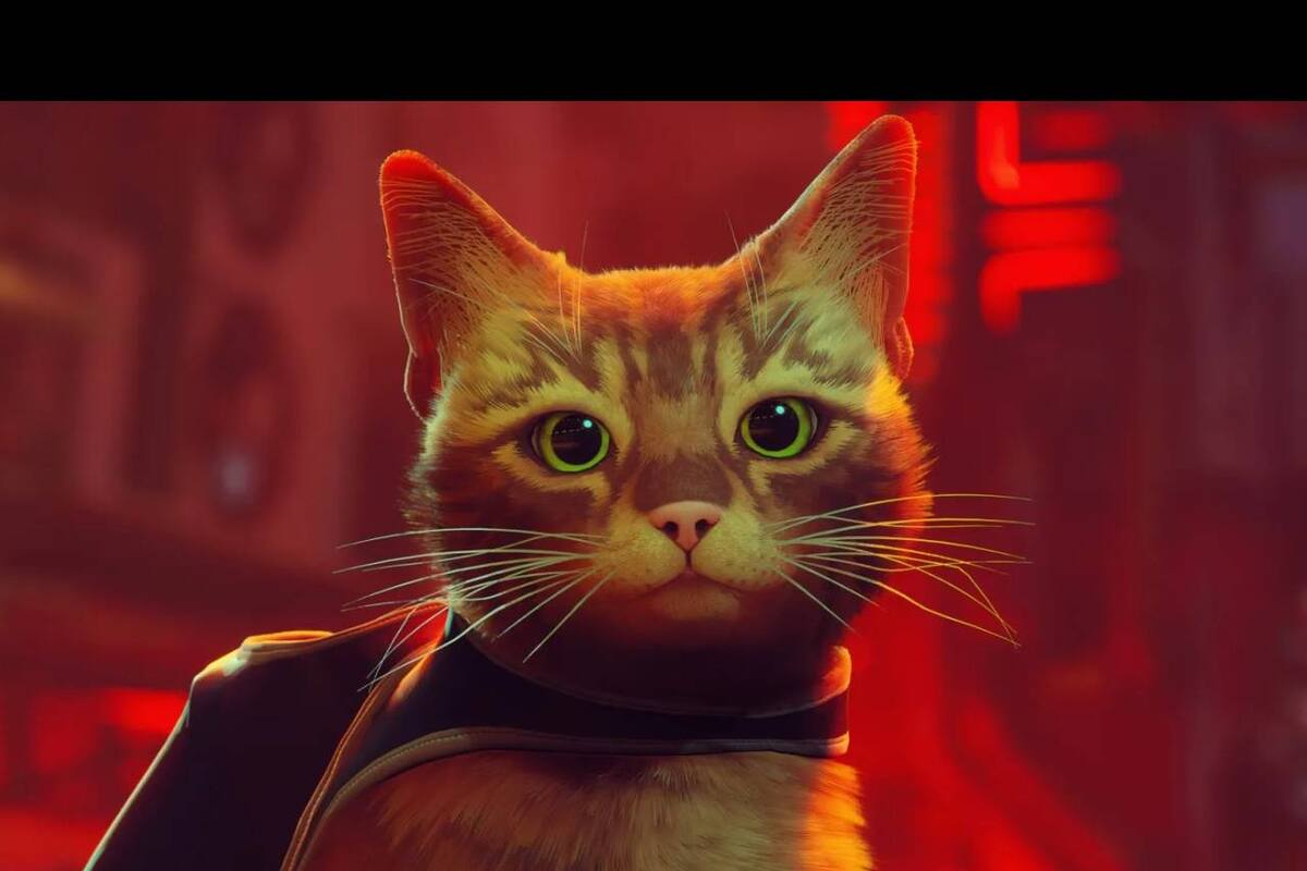 Stray confirma el peso de su descarga en Nintendo Switch