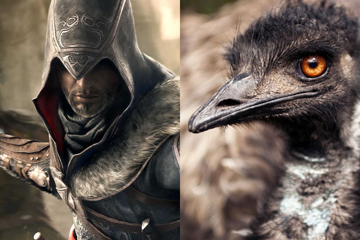 Devs de Assassin's Creed buscan a fan cuya copia fue destruida por un emú