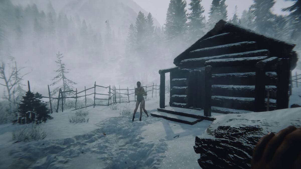 La secuela de The Forest debutará el próximo año