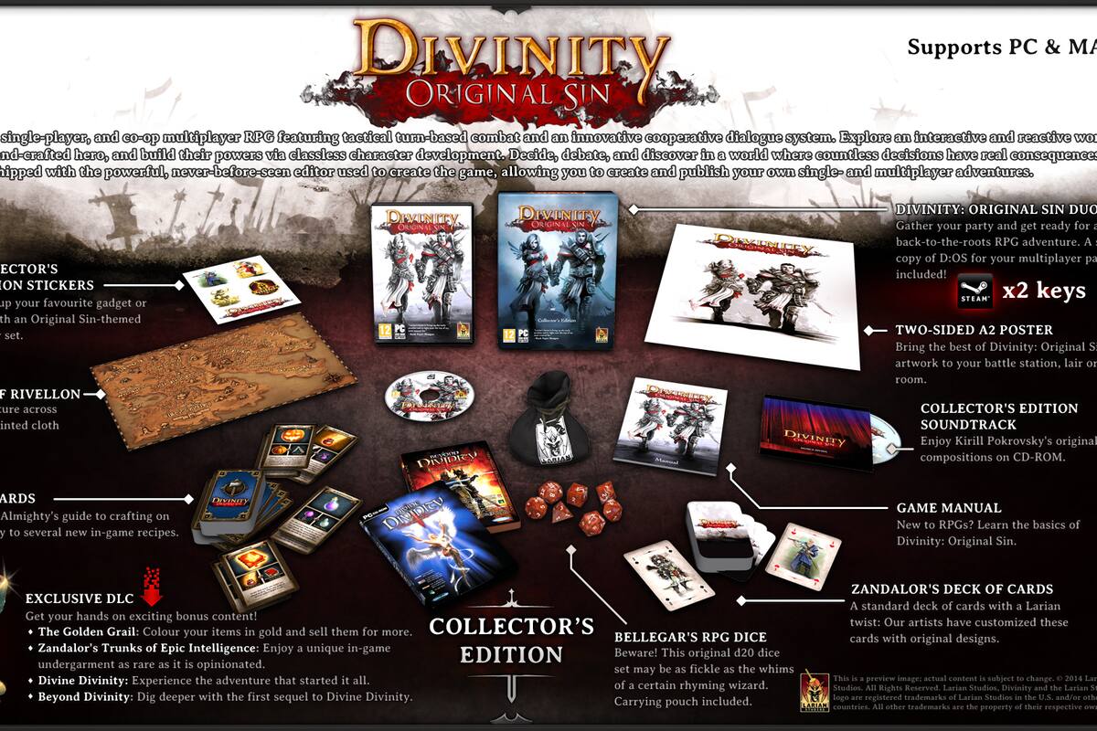 Detallan edición de colección de Divinity: Original Sin