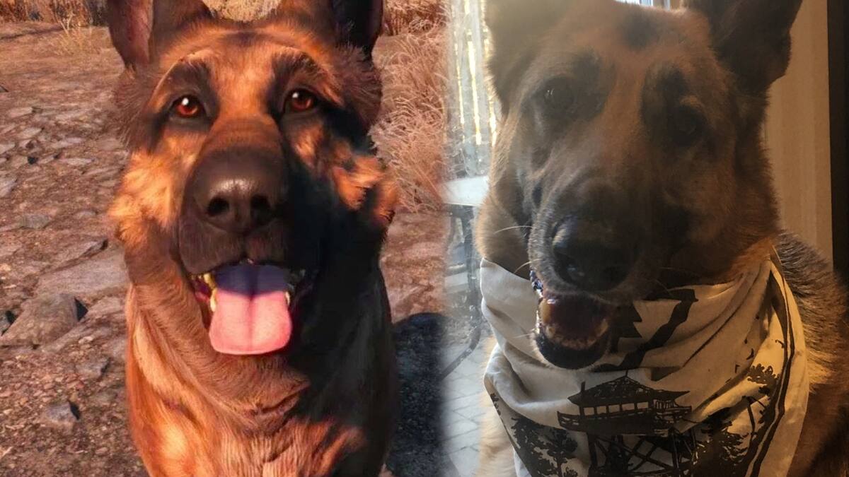 Lamentablemente, nuestras expediciones por el yermo de Fallout 4 ya no serán las mismas