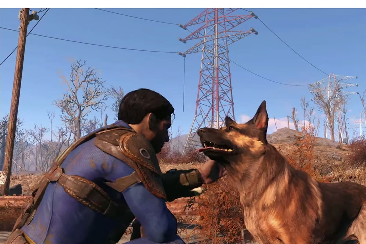 Xbox y Bethesda donaron $10,000 USD a una organización que ayuda a los perritos