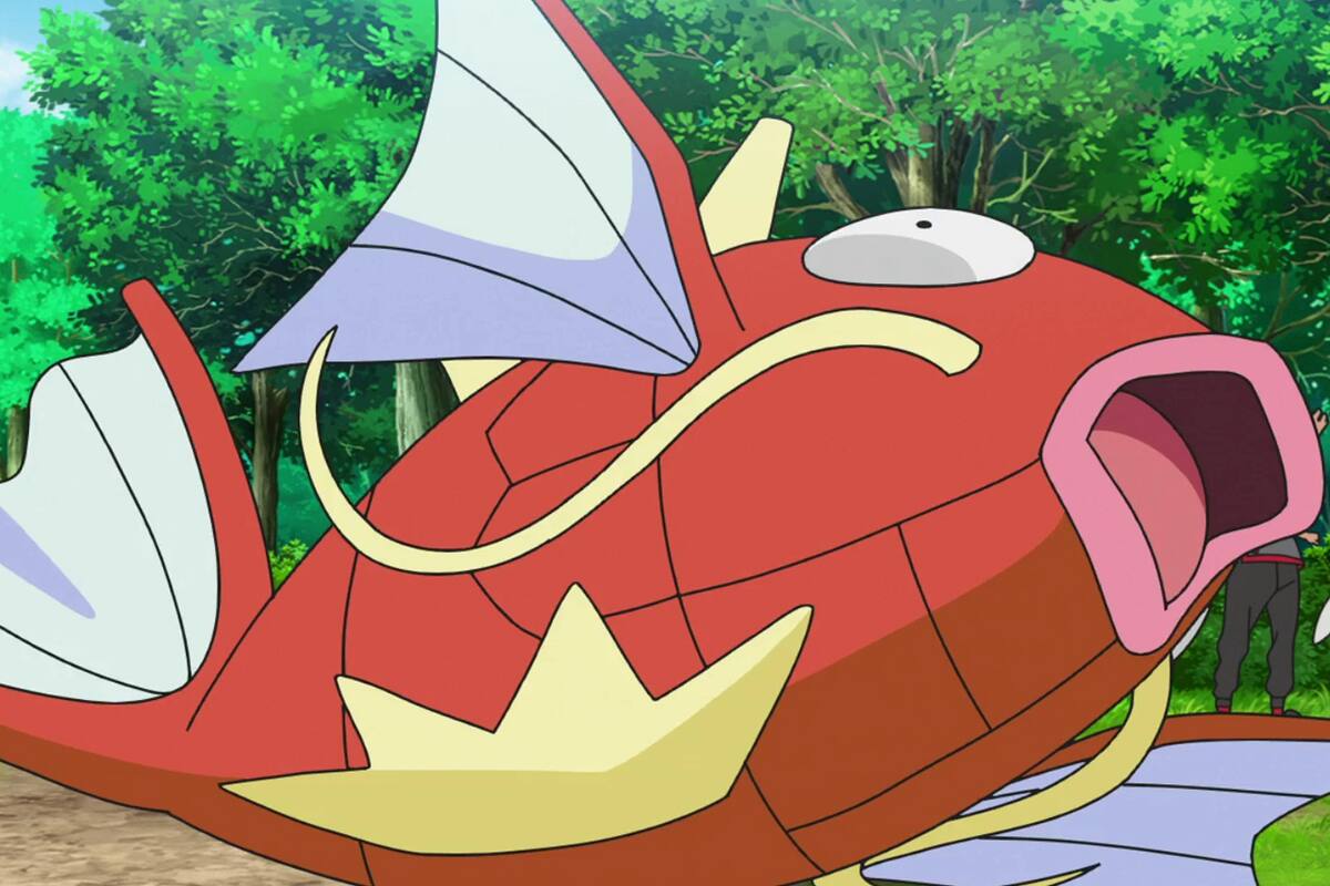 ¡Sorprendente! Estos peces están "jugando" Pokémon Ruby desde su pecera