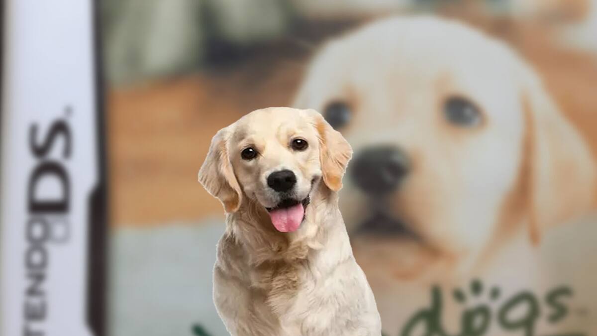 Las mascotas virtuales no encontraron a su dueño, pero llegaron a un mejor lugar