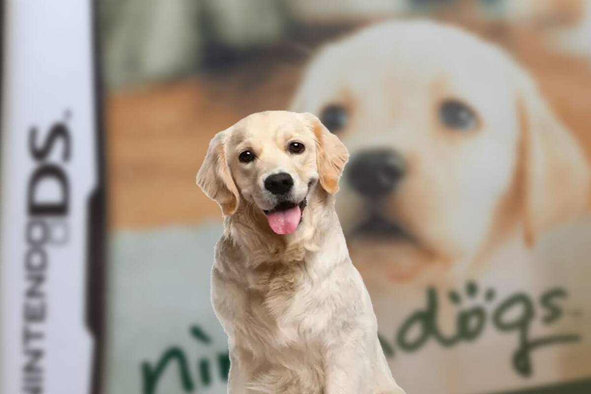 La historia de los perritos abandonados de Nintendogs que se hizo viral llegó a su fin