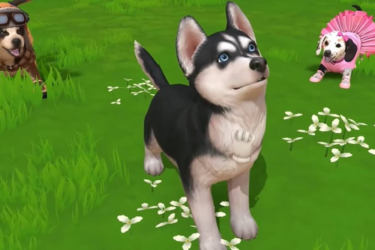 Little Friends: Puppy Island - Tráiler de Anuncio